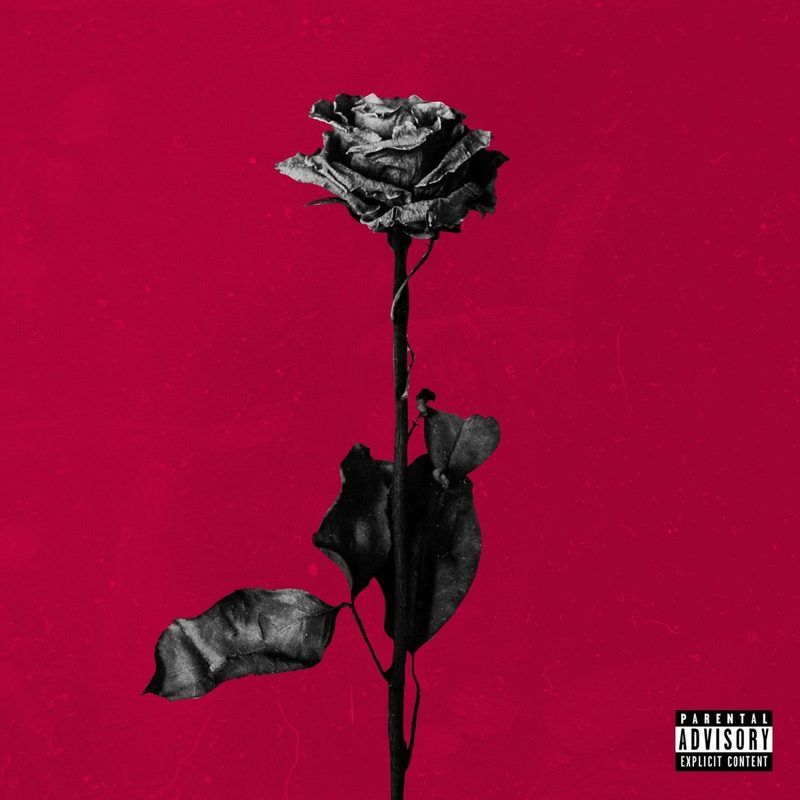 Album cover, opens on Spotify