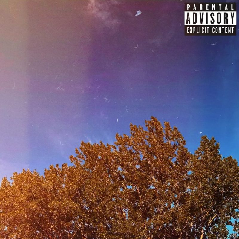 Album cover, opens on Spotify